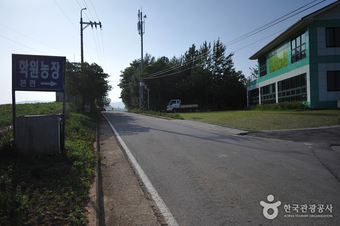 Borinara Hagwon Farm (보리나라 학원농장)
