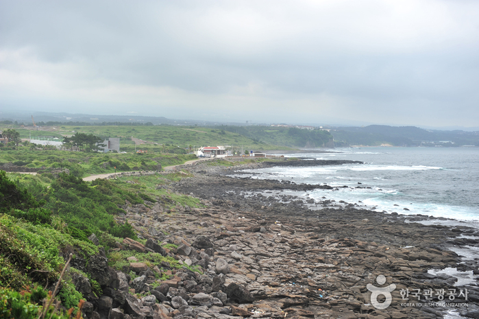 [제주올레 8코스] 월평-대평 올레0