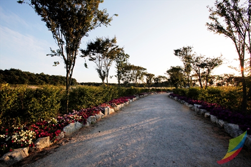 Julpo Ecological Park (줄포자연생태공원)