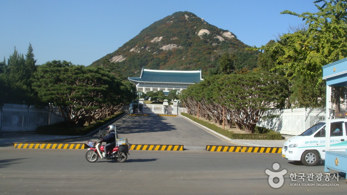 青瓦台前街청와대 앞길