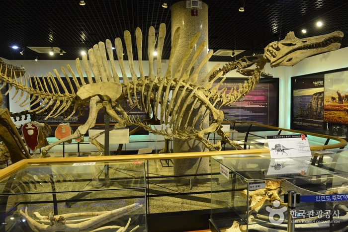 安眠島侏羅紀博物館(안면도 쥬라기박물관)