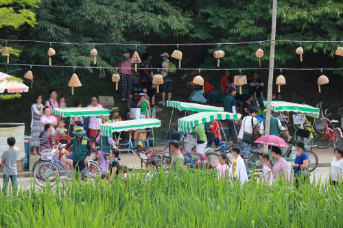潭陽竹祭り（담양대나무축제）