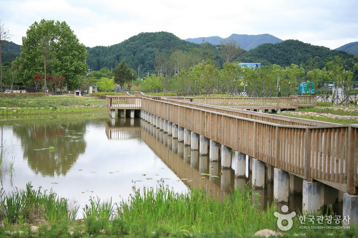 Bandi Land (무주 반디랜드)
