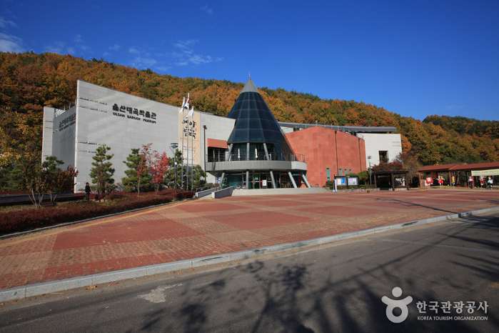 Ulsan Daegok Museum (울산대곡박물관)