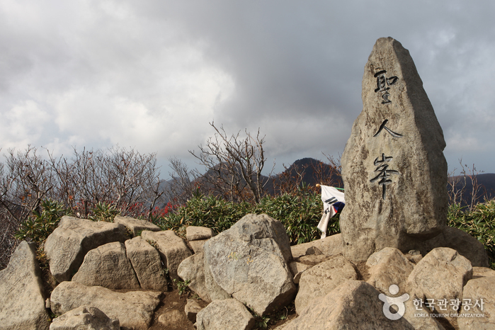 Pic de Seonginbong sur île Ulleungdo (성인봉 원시림(울릉도, 독도 국가지질공원))
