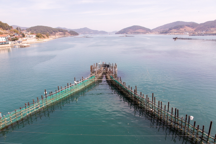 창선교에서 내려다 본 죽방렴