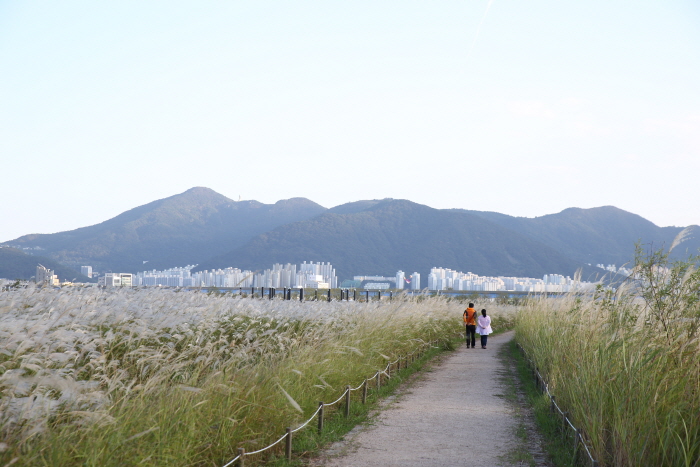 Parc écologique de Samnak (삼락생태공원)