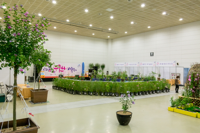 나라꽃 무궁화 세종 축제