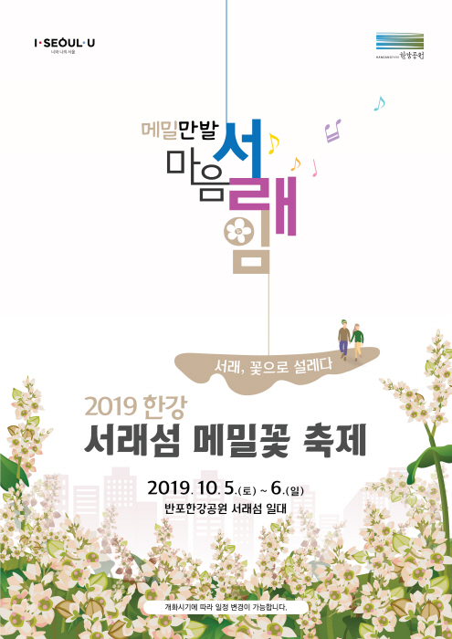 한강 서래섬 메밀꽃축제 20190