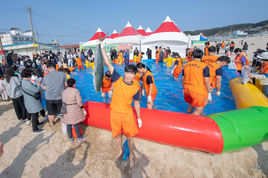 Goseong Myeongtae Festival (고성통일명태축제)