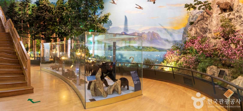 thumbnail-강원특별자치도립화목원-29