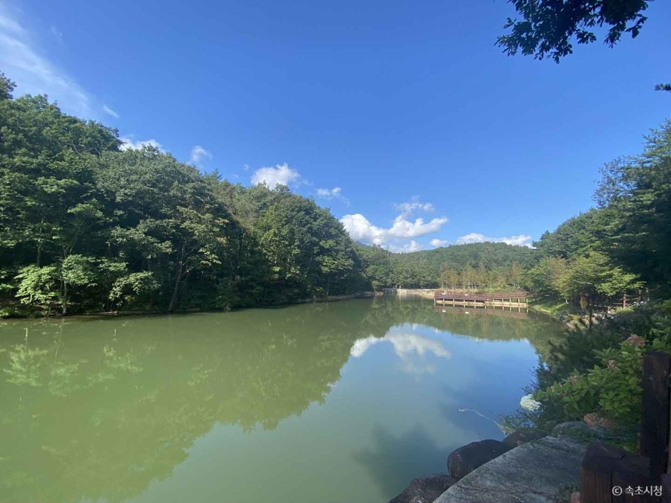 雪岳山野生植物园 (설악산 자생식물원)