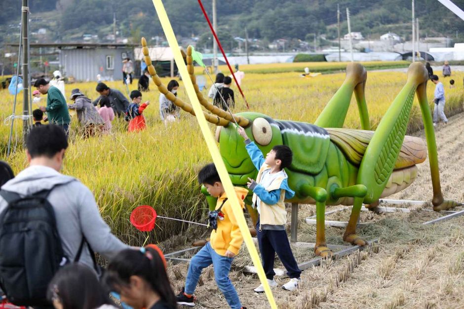 성주가야산황금들녘메뚜기축제