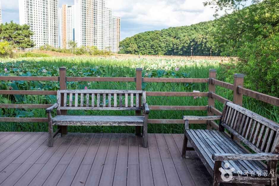 thumbnail-문성지-5