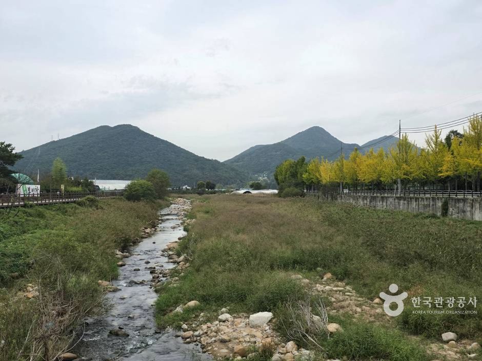 [대구올레 팔공산 5코스] 구암마을 가는 길