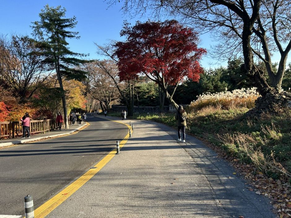 남산순환나들길