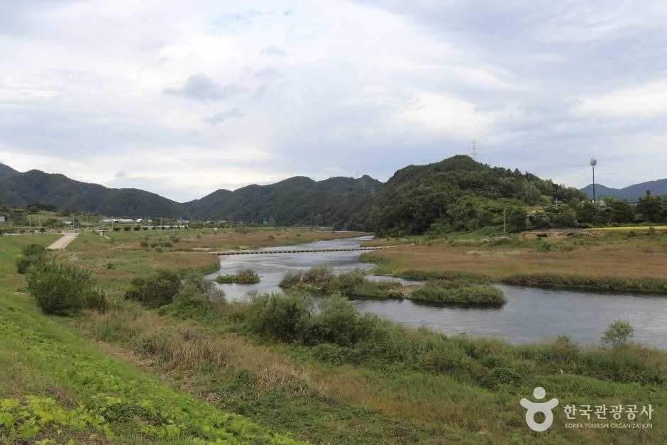 부남면 금강하천 (2)_e