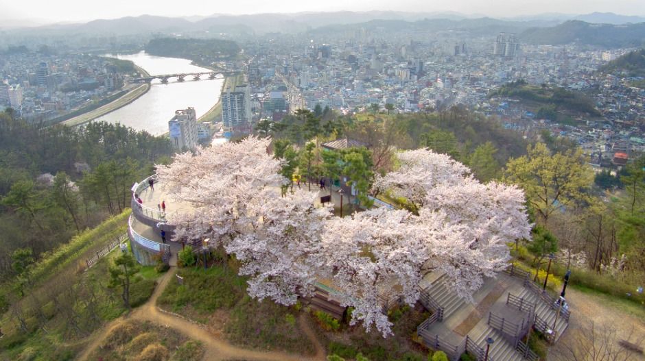 선학산전망대