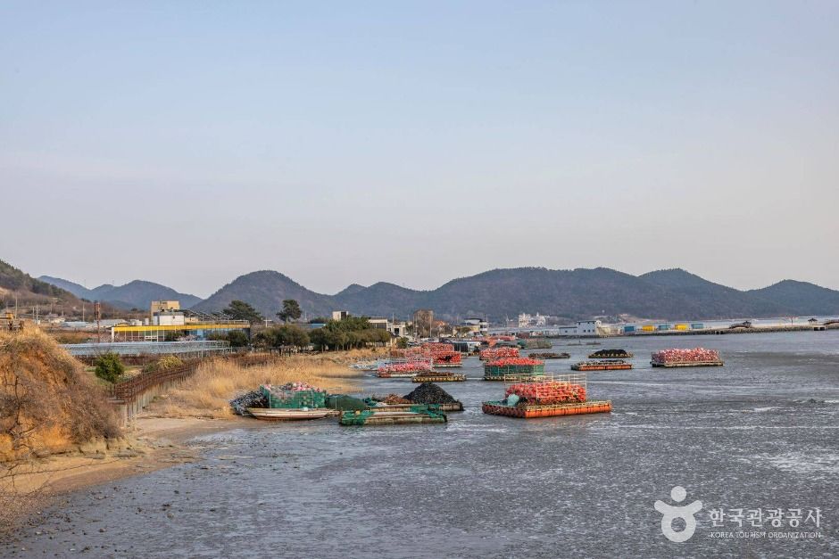 와온해변
