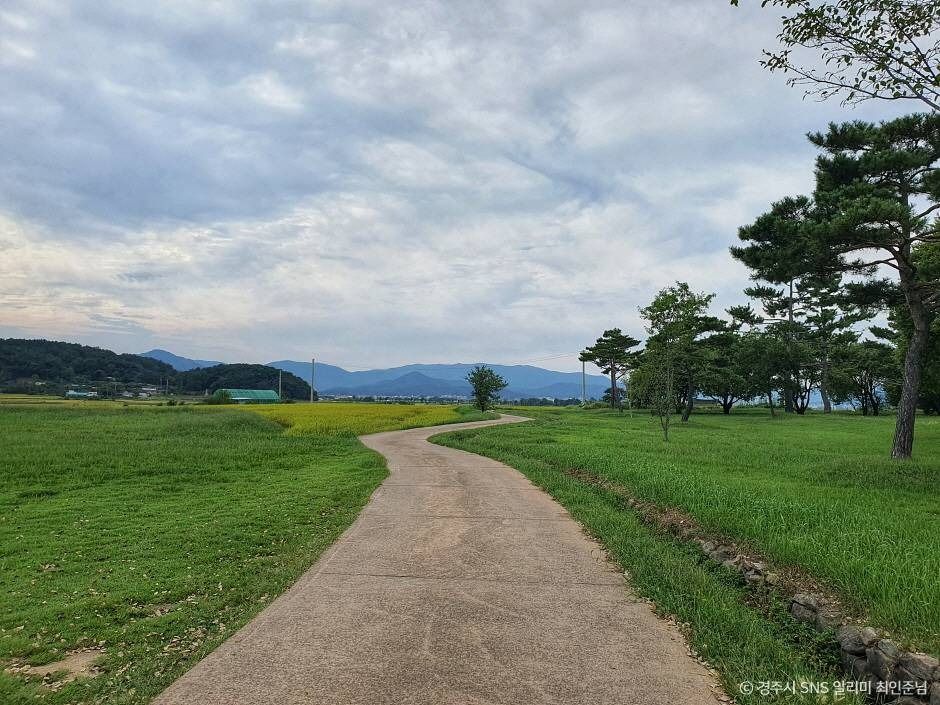 경주 낭산 일원