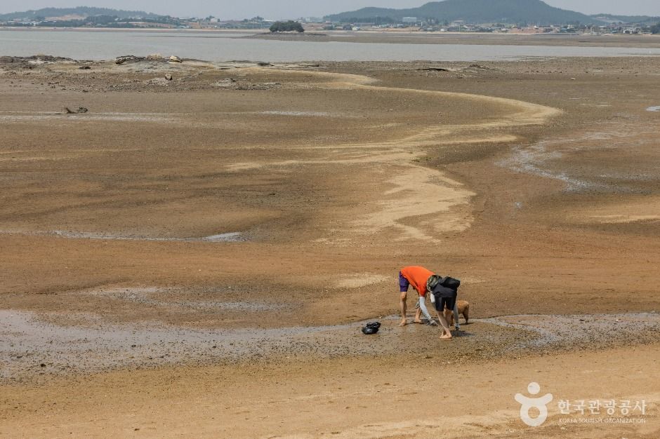 홀통유원지·홀통해변