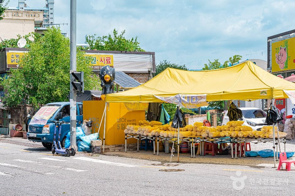 광주_비아5일시장 (1)