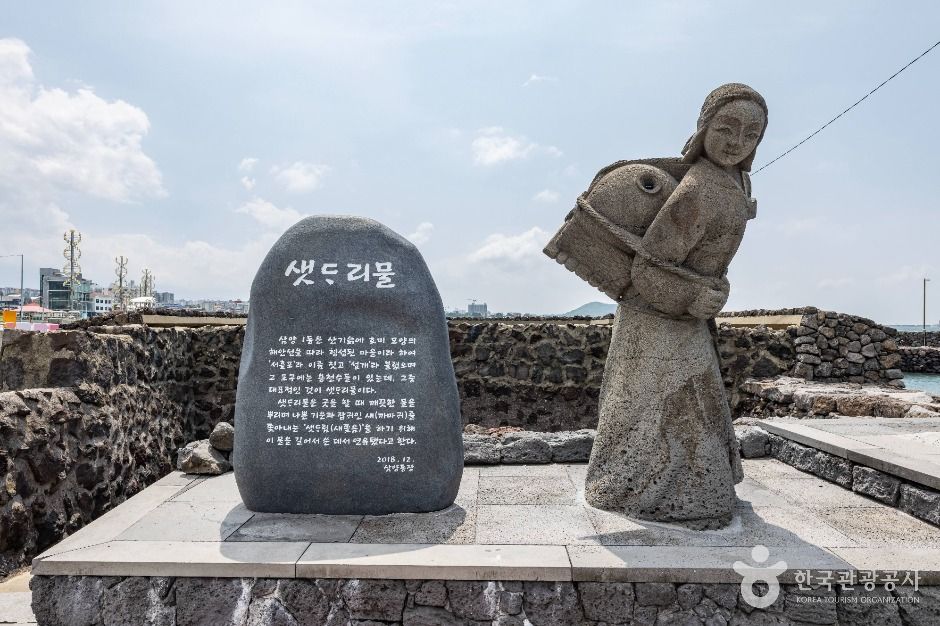 샛도리물