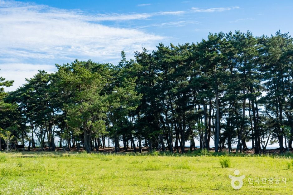 thumbnail-궁평관광지-7