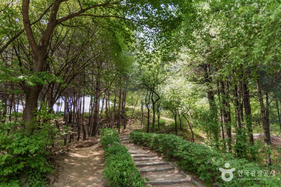 thumbnail-오동근린공원-8