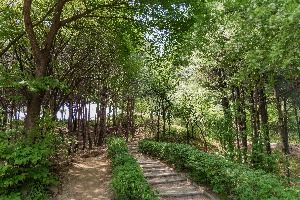 서울_오동근린공원 (2)
