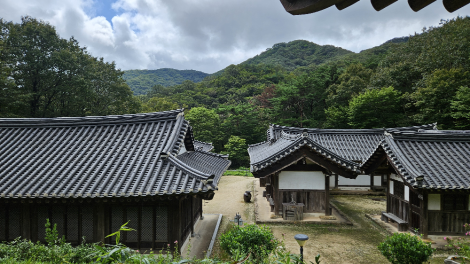 thumbnail-순천전통야생차체험관-11