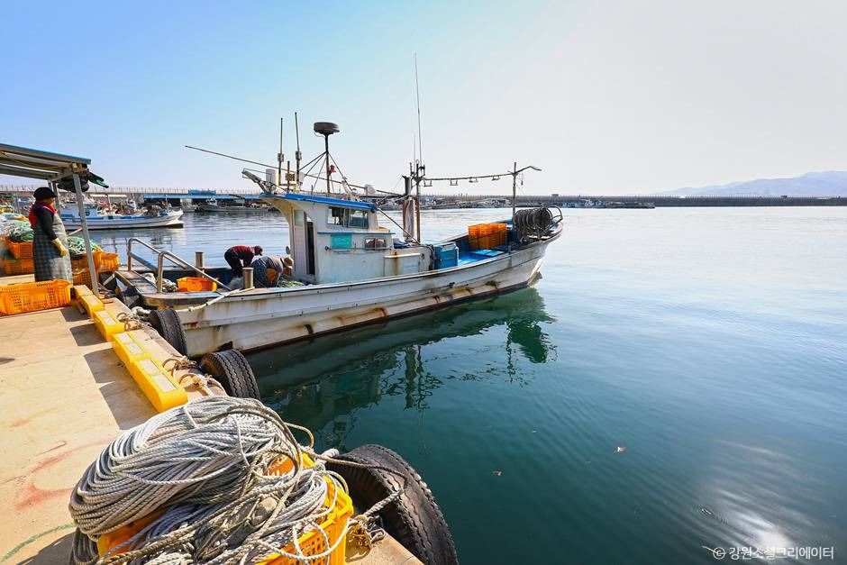 금진항(강릉)