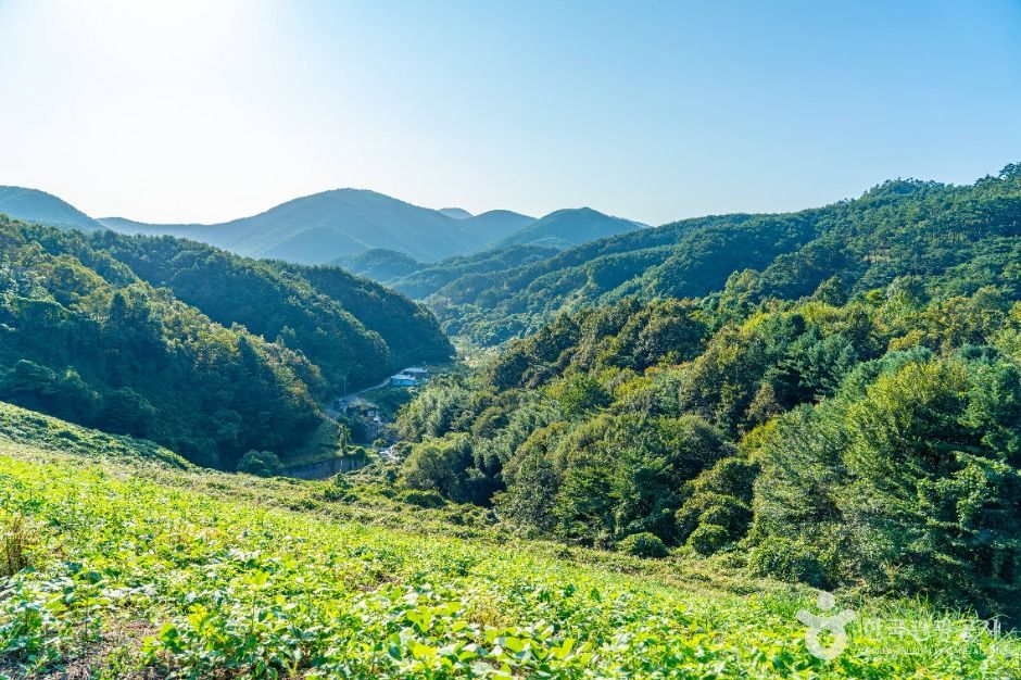 thumbnail-오율마을-5