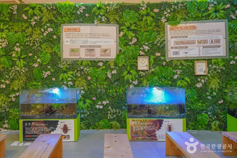 영암곤충박물관