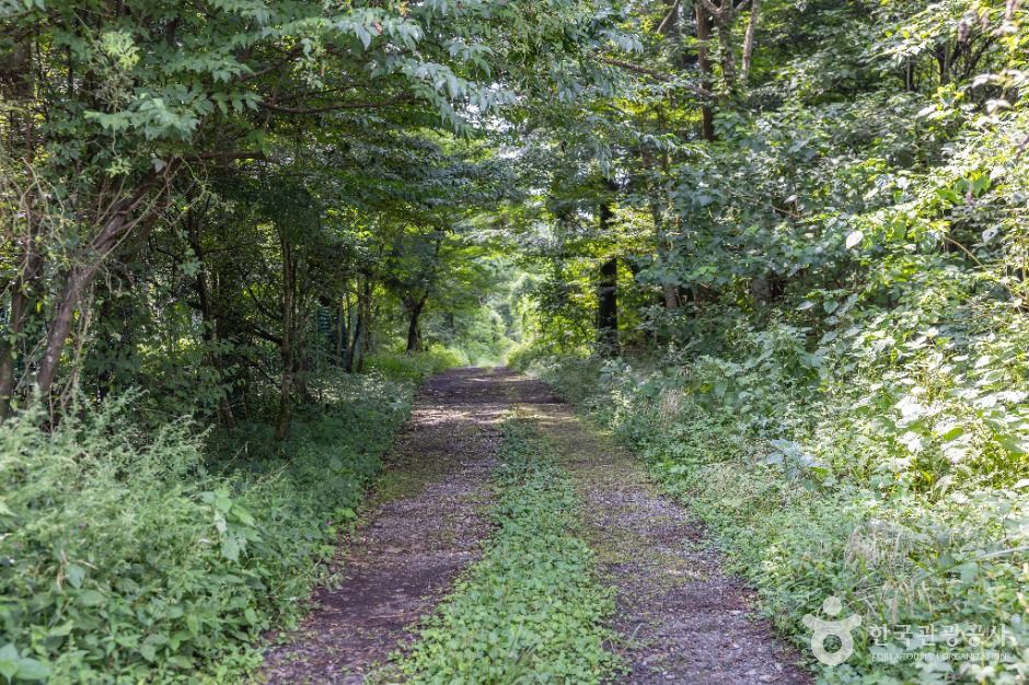 교래 삼다수마을