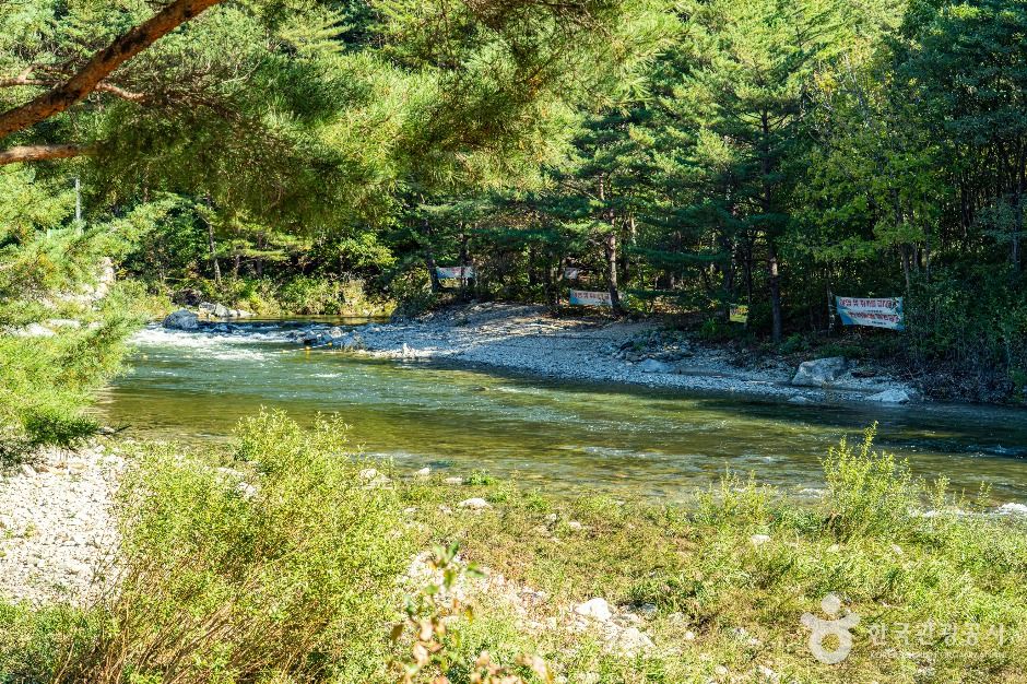 인제_진동계곡 (1)