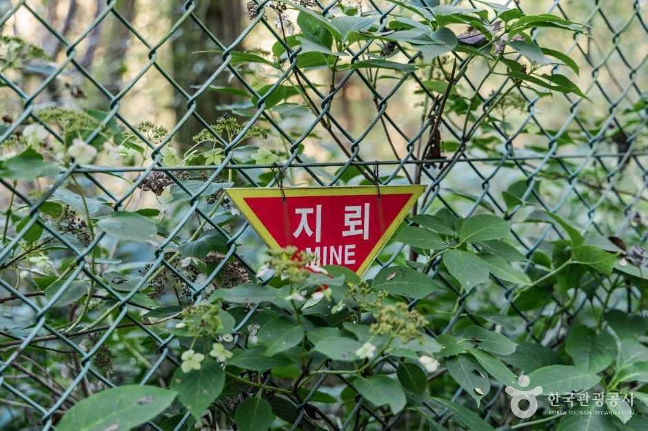 소이산 생태숲 녹색길