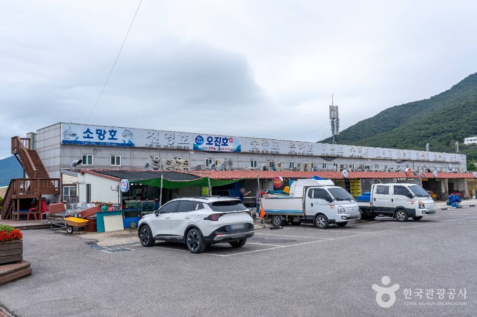 강화_선두5리어시장 (4)