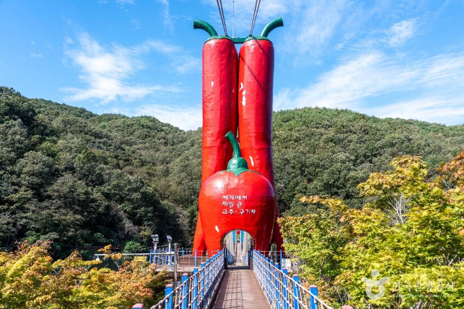 천장호 출렁다리