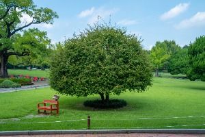 대구_대구 달성공원 (2)