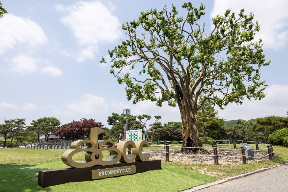 88컨트리클럽