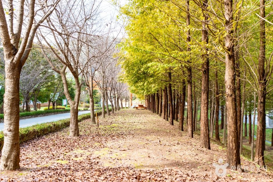 한민족역사문화공원