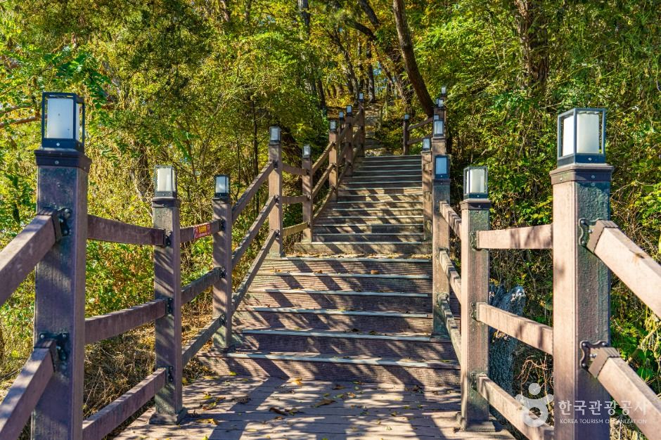 영동_양산팔경 금강둘레길 (5)