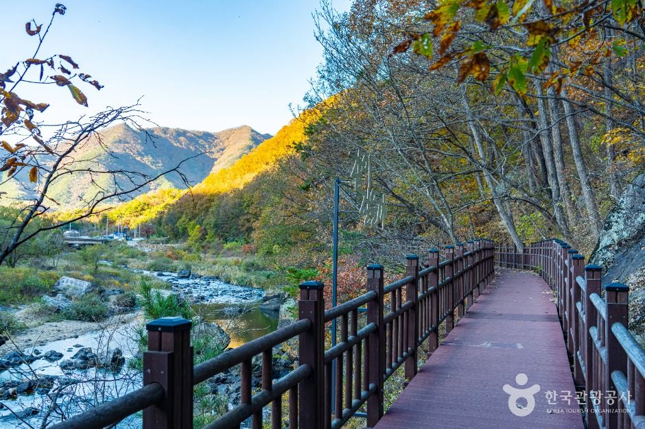 영동_월류봉 둘레길 (5)
