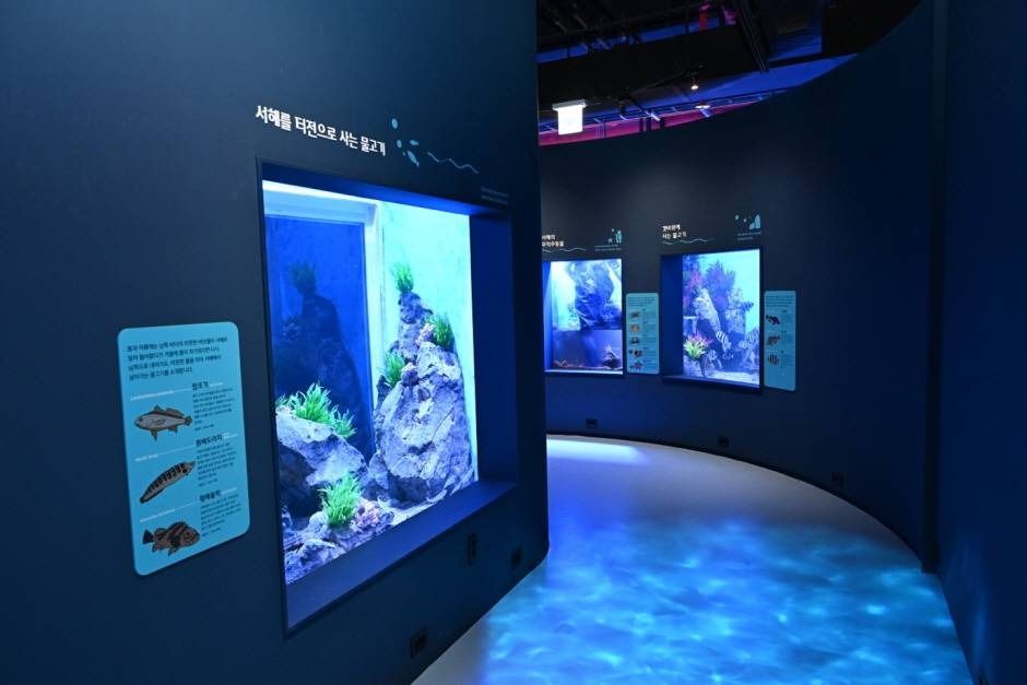 시흥 해양생태과학관