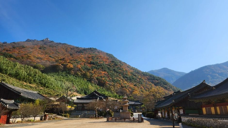 표충사호국박물관