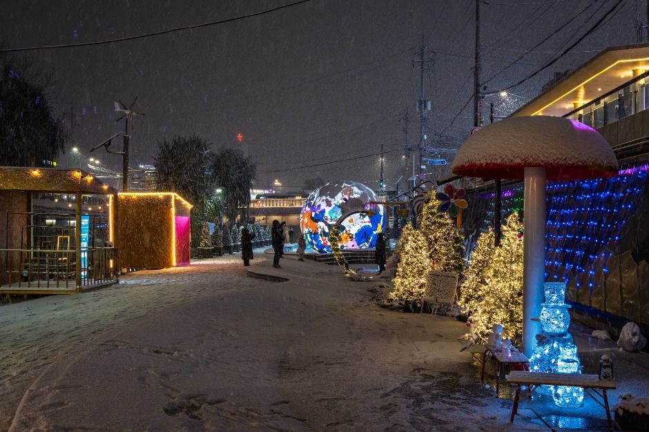 Paseo de las Estrellas de Gwanak (관악별빛산책)