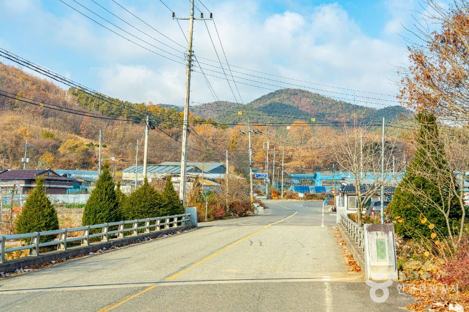 원연장 꽃잔디마을