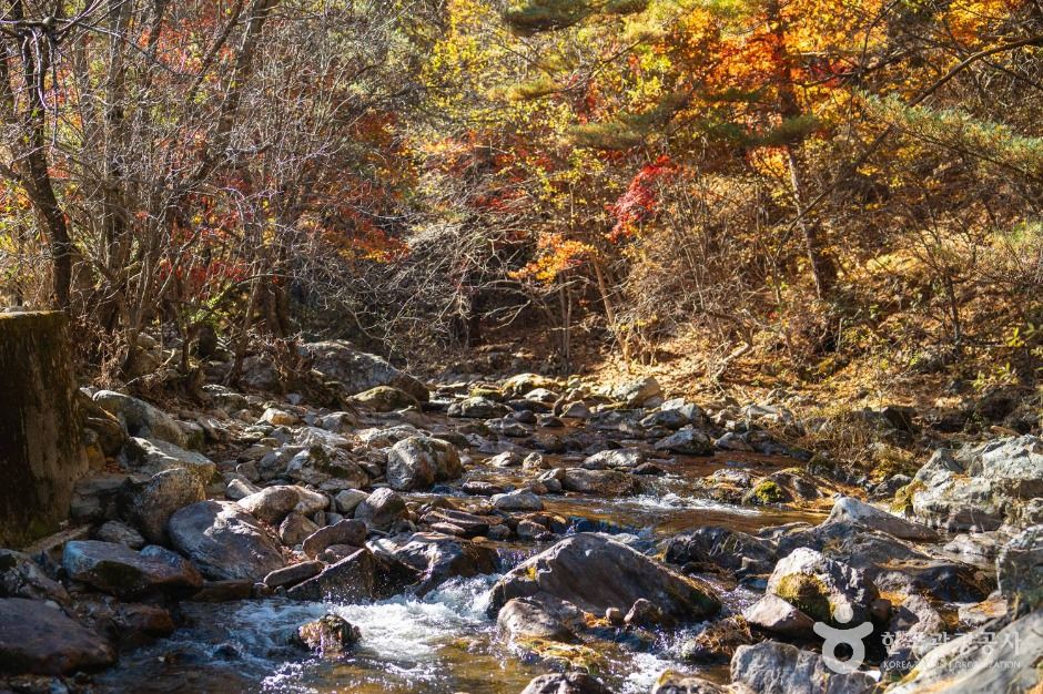봉화 대현리 열목어 서식지