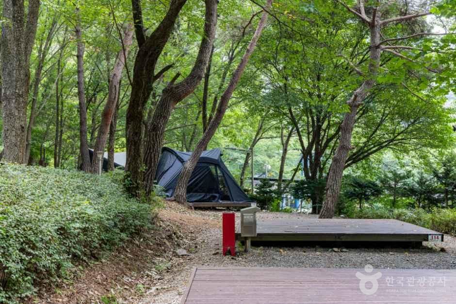 thumbnail-국립용현자연휴양림-10
